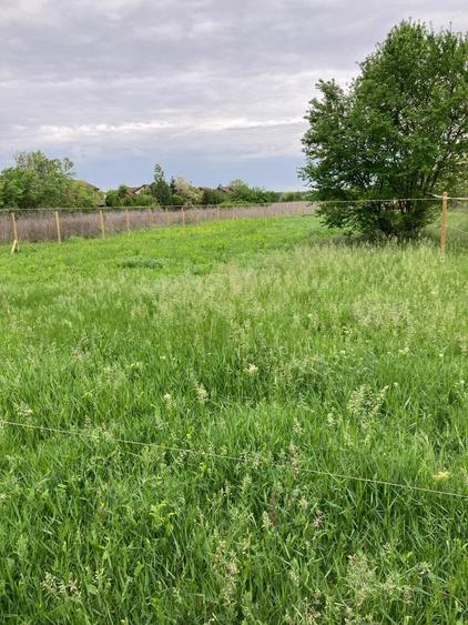 Teren cu Autorizatie, Utilitati, Asfalt, zona Paradisul Verde - 4