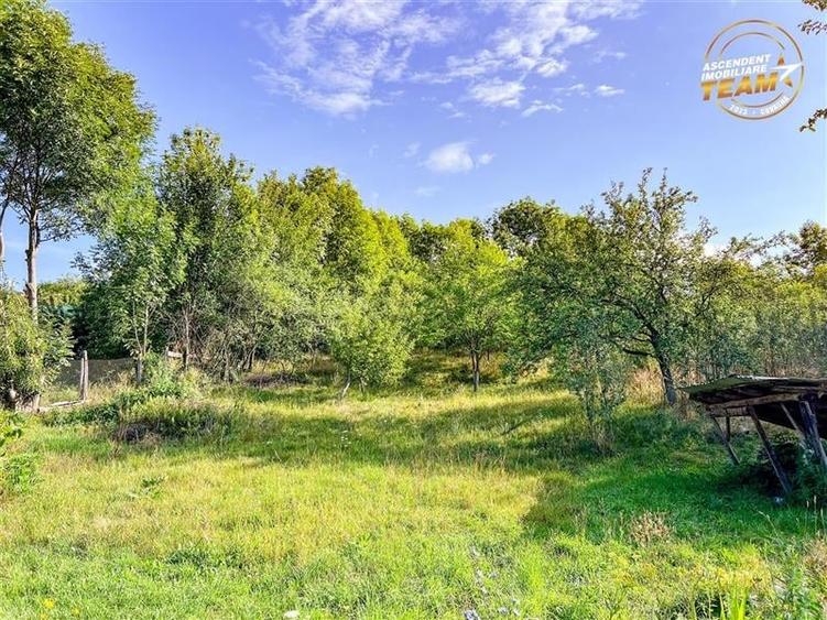 FILM!Areal apreciabil,casa+domeniu de 3.500mp,Sancraiu,vecin Sfantu Gheorghe si - 26