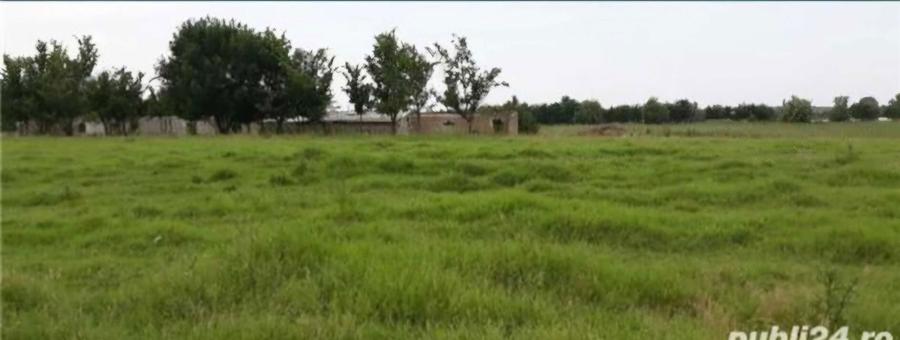 Teren cu vad, la sosea, Piscicola - 1