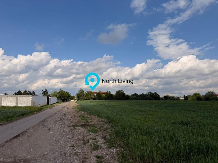 Teren Snagov - Cioflinceni | Drum amenajat | Aproape de Padure si Lac - 2