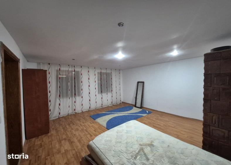 Casa Loc. Santana,25km de Arad, gradina 1933 mp front stradal dublu - 10