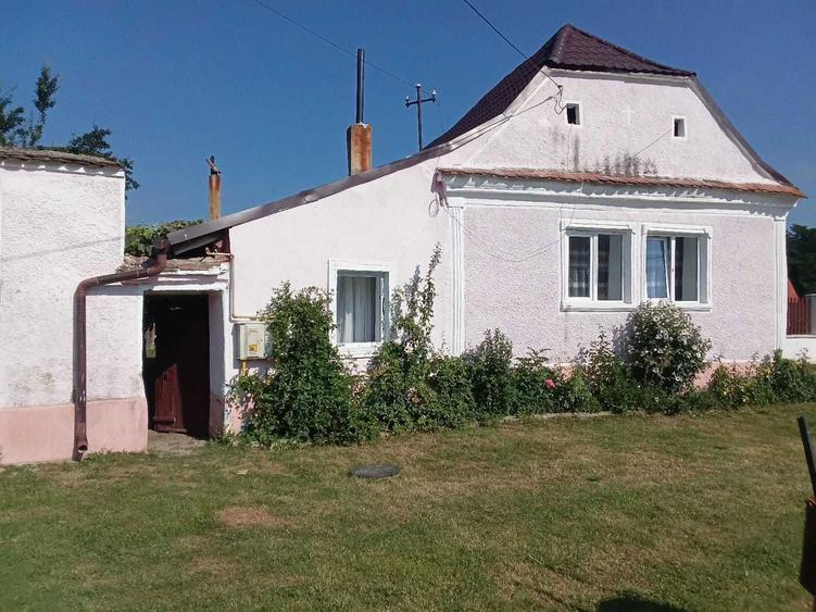 Casa de vanzare cu curte,gradina 2500mp - 1