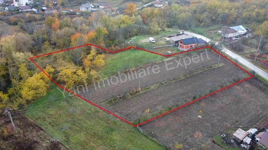 Teren de vanzare in comuna Meri?ani, sat Valcelele, jude? Arge?. - 10