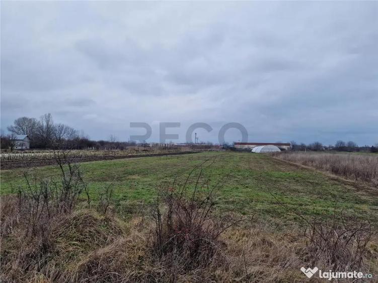 Teren intravilan in Bors cu front mare - 4