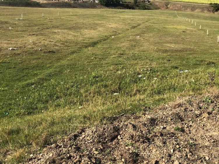 Teren de vanzare - 1