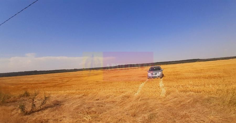 Teren pentru casa/case in Brane?ti pe strada Topora?i - 14