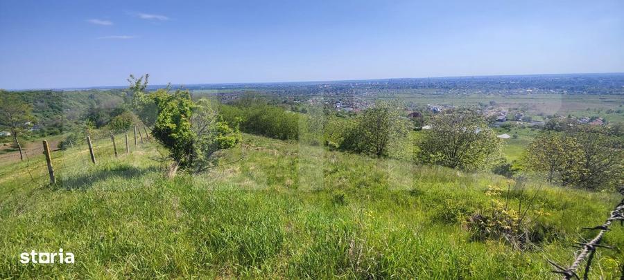 Teren Panoramic 15.500 mp Investitie sau Dezvoltare, Zona Aleea Ma - 5