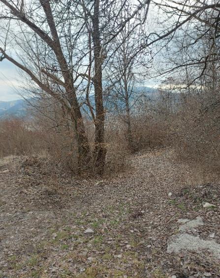 Teren intravilan la drumul na?ional comuna Hangu, Neamt, 5000mp - 2