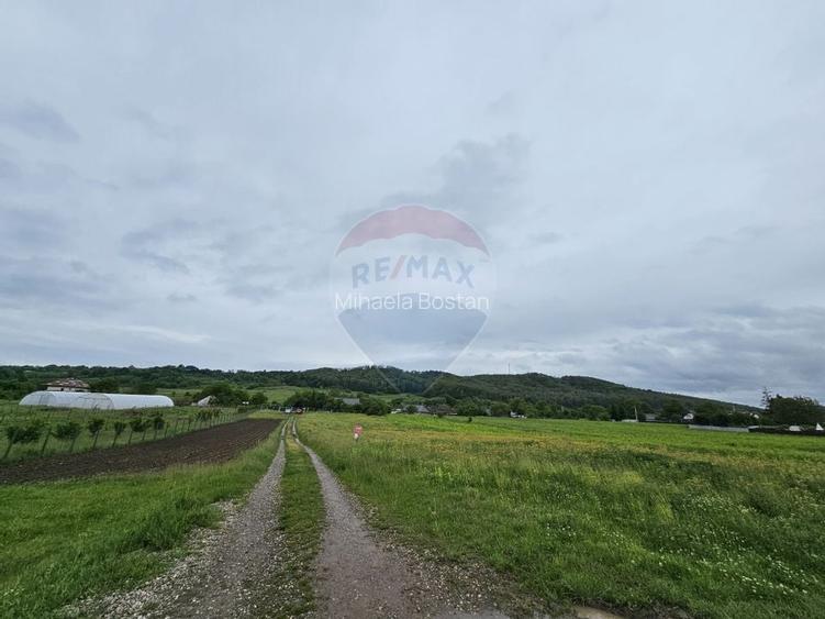 Teren 1,495mp Dobreni / Strada Parau Almas