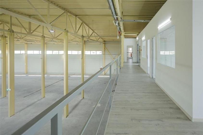 Inchiriere depozit/hala/spatiu industrial Otopeni - Centura - 8