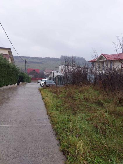 Teren Bucium 3 min de Hanul 3 sarmale, la Soseaua Barnova - PROPRIETAR - 1