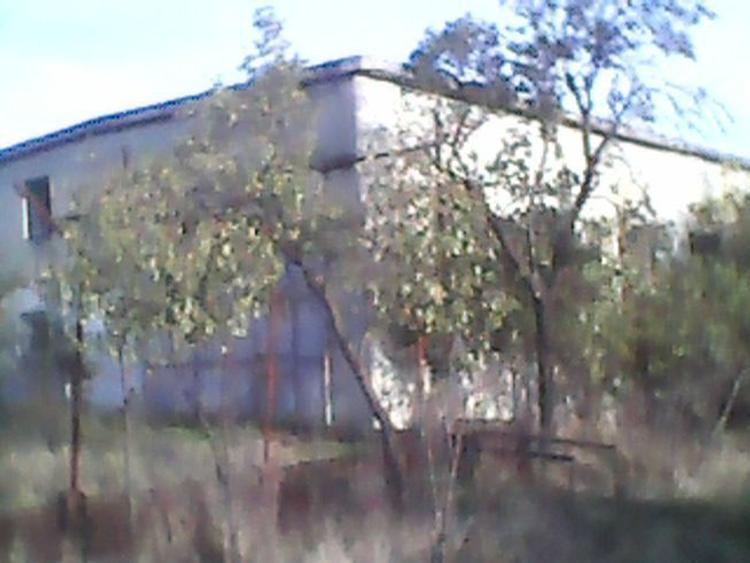 Ferma agricola cu 7600 mp teren intravilan si 400 mp constructii in Popanzalesti comuna Dragotesti - 2