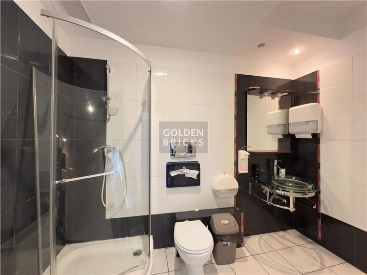 Herastrau |N. Caramfil | Renovat integral | Acces dedicat | Parcare - 18