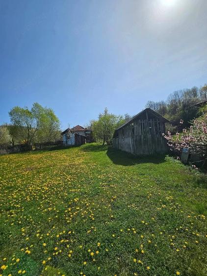 Teren de 3000 mp, în Dăești
