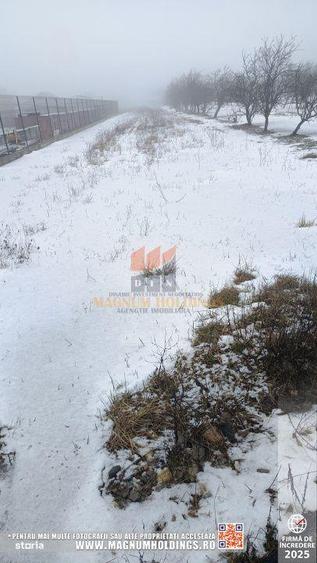 Teren Bradu, 3500 mp, intravilan, drum pe 3 laturi, toate utilitatile - 1