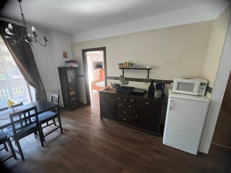 Apartament de vacanță pârtia CLĂBUCET - 2