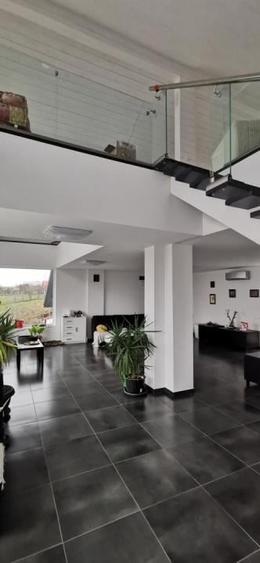 Peris Lac - Vila cu deschidere lac teren 3500mp - 9