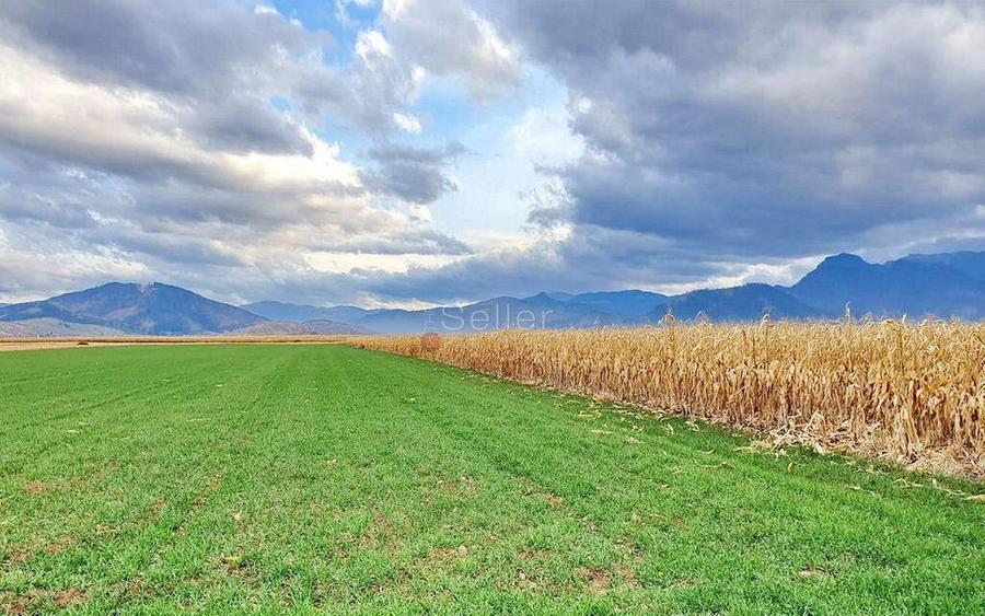 Teren extravilan Tarlungeni - 4