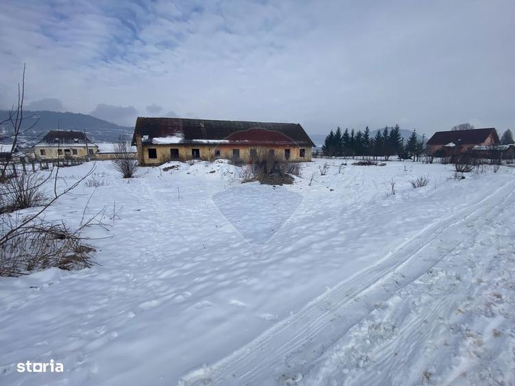 Teren Hoghilag/Dumbraveni Strada Principala - 1