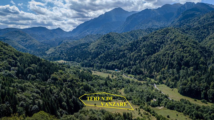 Teren superb in Rasnov Glajerie retras si intim - 3