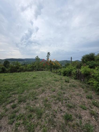 Teren Intravilan, utilitati in zona, 2600 mp, Draganeasa, Prahova - 2