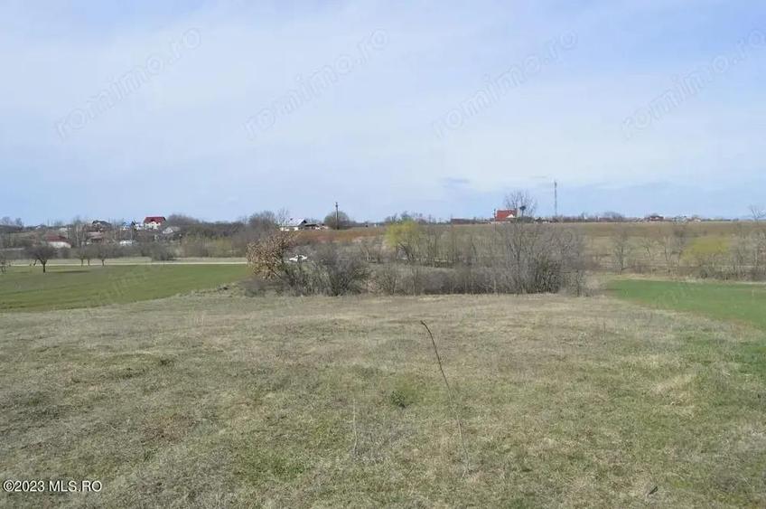 Suseni - Teren intravilan rezidential, suprafata 4000 mp - 11