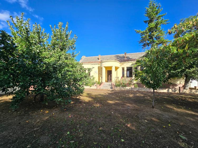 Cenad-Ultracentral-2 fronturi- Casa cu ahitectura deosebita - 5