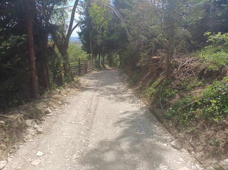 Teren lacul Izvorul Muntelui comuna Hangu - 5