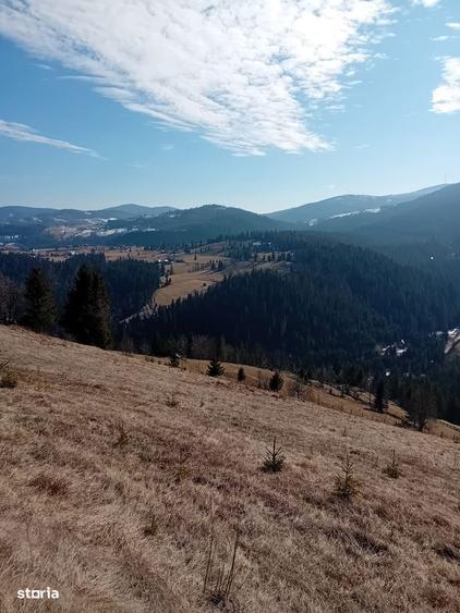 Teren de vanzare zona de munte, panoramic, liniste totala - 1