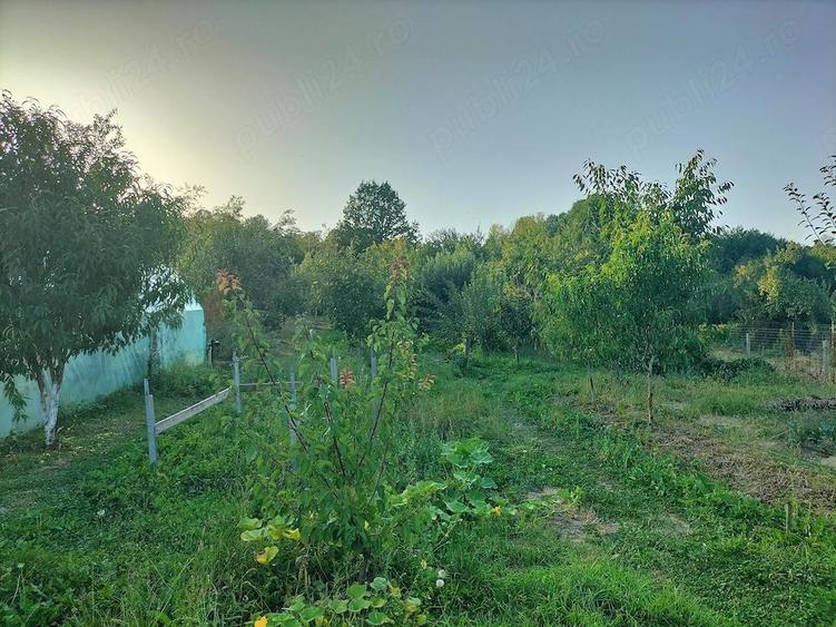 Casa la ?ara cu livada, gradina ?i aer curat - Vulturesti, Arge? - 11