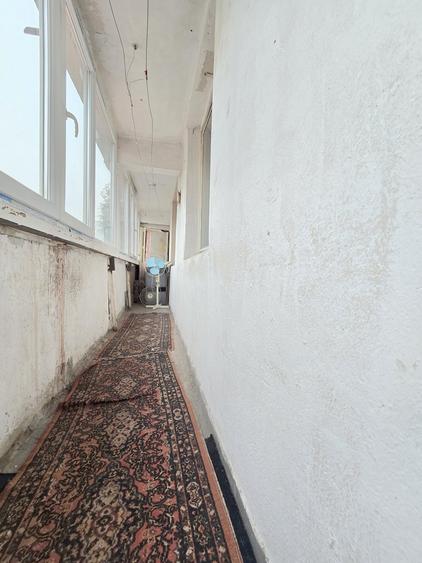 Lacul Tei - Maica Domnului, apropiere Facultatea de Constructii - 11