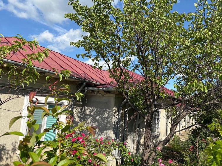 Casa de vanzare Alexandria - 1