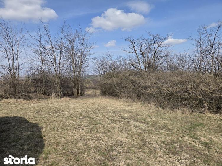 Teren de vanzare Pata Cluj - 7