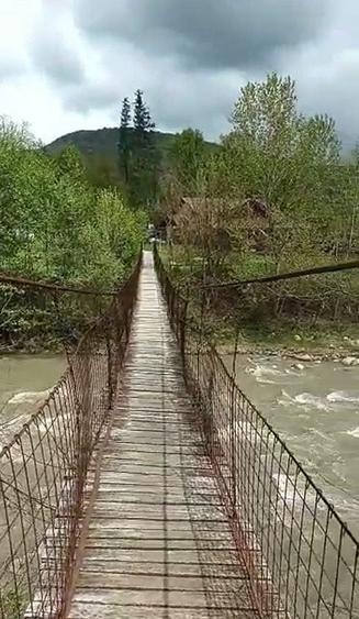 Teren la Rau si Padure Ideal Cabana, Liniste Totala - 5