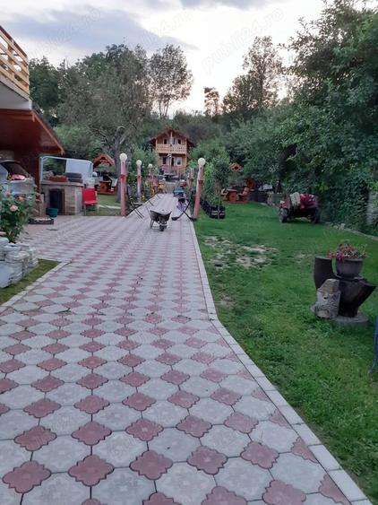 Casa de vanzare : sat. Serel, com.Pui, jud Hunedoara, cu spa?iu comercial ?i iaz de peste. - 9