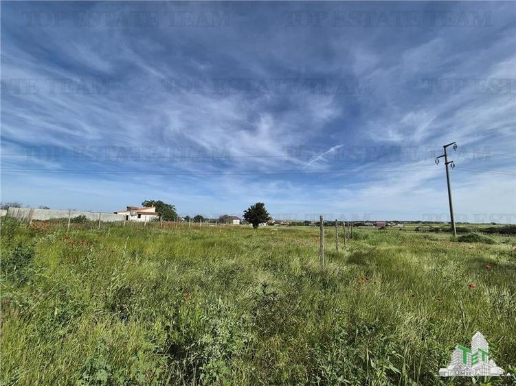 Teren intravilan Techirghiol - 5