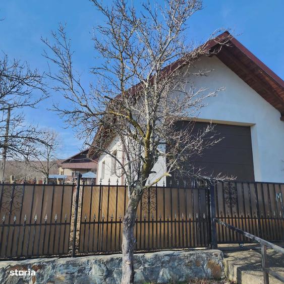 Casa detasata, 4 camere, o anexa , 2 garaje ,si subsol - 10