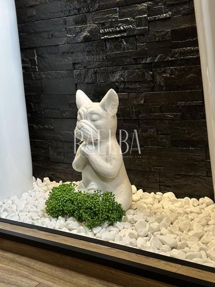 Casa | 5 camere | Tunari | Dimieni - 35