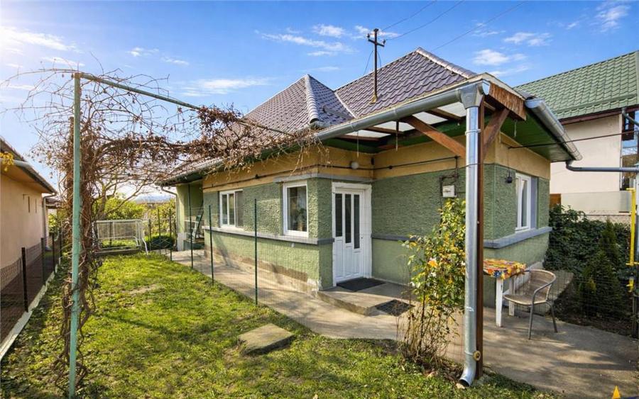 Gospodarie cu atmosfera traditionala,sursa proprie apa,pivni - 1