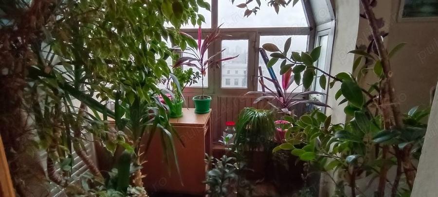 Ultracentral Kogalniceanu stradal, 2 camere, cf 1 - 2