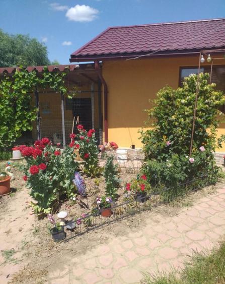 HORIA - 3 CAMERE ,SUPRAFATA 100 MP,TEREN 3000 MP CU DESCHIDE - 5