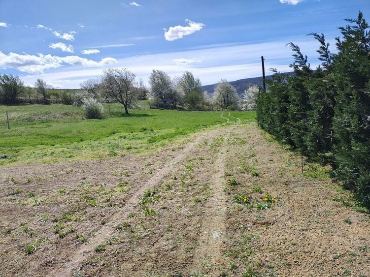 Teren de vanzare/inchiriat la 11 km de Autostrada - 7