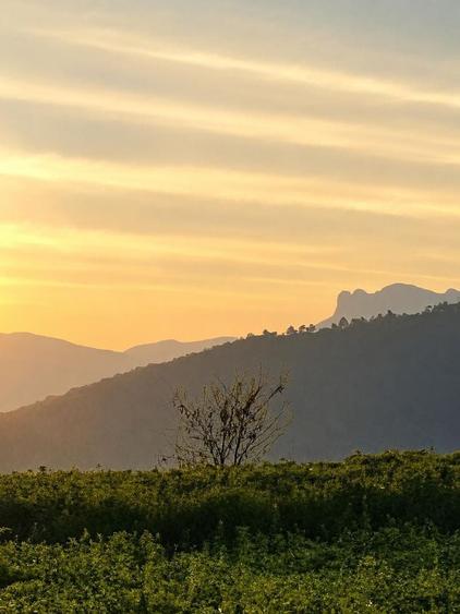 Casa la 2,5 km de Piatra Neamt - 8