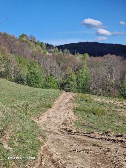 VAND TEREN extravilan, in zona de munte, cu priveliste minunata in comuna BLAJENI, HD. - 4