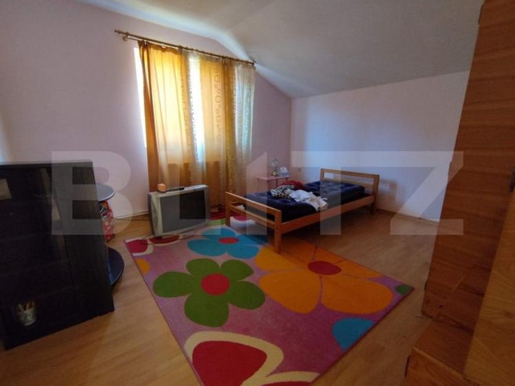 Casa individuala 4 camere plus casa de oaspeti, Drajna - 9