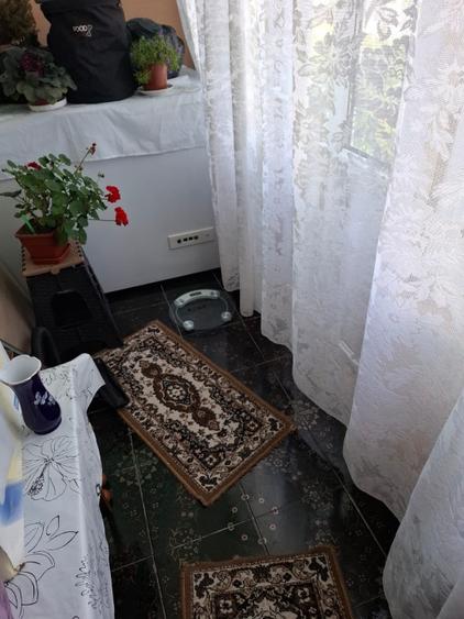Casă de vânzare în Dunăreni, com. Aliman – Gospodărie completă, mobilată  - 7
