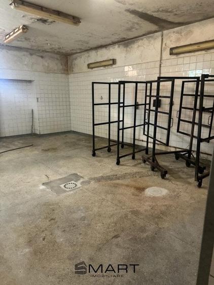 Spatiu comercial de vanzare – 380 mp, Terezian, Sibiu - 6