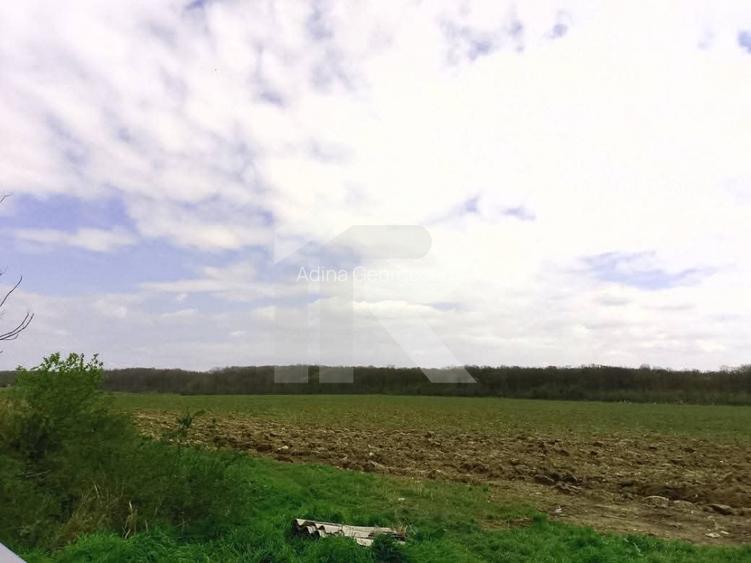 Com GRUIU_Reprezentare exclusiva_TEREN  EXTRAVILAN LANGA PADURE