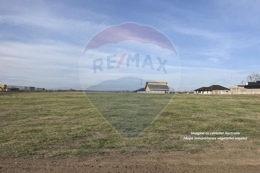 Teren intravilan 7478 mp Bucov, parcelabil, ideal investiție - 3