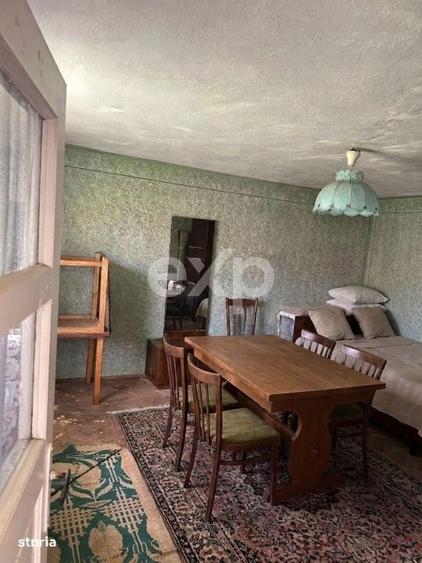Casa la tara cu teren 3940 mp si livada zona linistita - 8